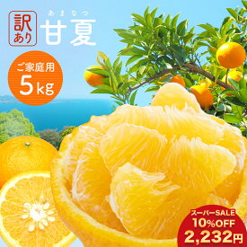 【 楽天スーパーSALE 10%OFF 2,232円 】訳あり甘夏 5kg みかん 訳アリ 愛媛みかん 愛媛県産 ミカン スイーツ フルーツ 果物 くだもの 食品 柑橘 青果 不揃い 傷 家庭用 自宅用 実用的 大容量 甘さ 酸味 簡単 旬 ジャム 贈答用 父の日 プレゼント 実用的 お中元 御中元