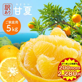 【期間限定！200円OFFクーポンご利用で2,480円→2,280円】訳あり甘夏 5kg みかん 訳アリ 愛媛みかん 愛媛県産 ミカン スイーツ フルーツ 果物 くだもの 食品 柑橘 青果 柑橘類 かんきつ 不揃い 傷 家庭用 自宅用 実用的 大容量 甘さ 酸味 簡単 旬 ジャム 甘夏ピール 贈答用