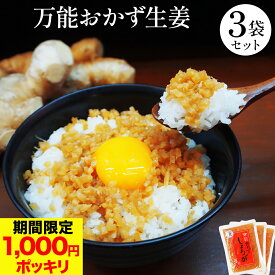 ＼ 期間限定 P2倍&280円OFFで 1000円ポッキリ ／ ＜ ヒルナンデス で紹介 ＞高知県産 生姜 使用！【 食べる生姜 】【 万能 おかず生姜 】その他いろんな 料理 に使えて便利 3袋セット 実用的 ギフト お中元 御中元 中元
