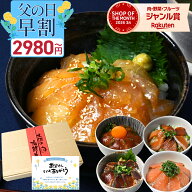 ＼ 父の日 早割 2,980円~ &ポイント2倍 メッセージカード付き／ 海鮮丼セット 海鮮丼 漬け丼 藁焼き 鰹た…