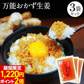 ＼ 期間限定 クーポン 280円OFFで1,220円／＜ ヒルナンデス で紹介 ＞高知県産 生姜 使用！【 食べる生姜 】【 万能 おかず生姜 】その他いろんな 料理 に使えて便利 3袋セット 実用的 ギフト お中元 御中元 敬老の日 敬老