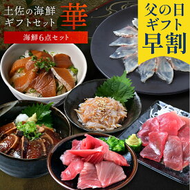 父の日 早割 で5,780円 土佐の海鮮セット 華 海鮮 詰め合わせ レンジ 簡単調理 藁焼き 真鯛 マグロ 中トロ かつお 梅水晶 お酒 に合う 酒の肴 お取り寄せ グルメ 食品 珍味 個包装 ギフト 食品 送料無料 指定 父の日 父の日 プレゼント 実用的