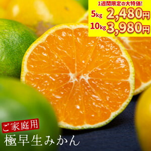 \ P2倍&10kg購入で5kgあたり1,990円! / ご家庭用 極早生 みかん 10kg 5kg 訳あり 愛媛 ミカン 蜜柑 フルーツ 果物 極 早生みかん くだもの 青果 柑橘 柑橘類 訳あり フルーツ 訳ありみかん 小玉 甘