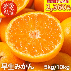 _ yVX[p[SALE 5kg 2,360~~ 10kg 3,780~~ &P2{ ^ ƒp IׂTCY  ݂ 5kg 10kgy  z 󂠂 QY B݂ ~J   t[c ʕ  k k 