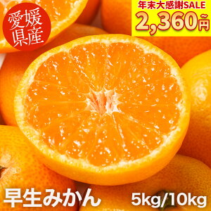 �_ �N���労��SALE! 5kg 2,360�~~�^ ���ƒ�p ���� �݂��� 5kg 10kg�y �������� �z �I�ׂ�T�C�Y �󂠂� �݂��� ���Q ���Q���Y ���B�݂��� �~�J�� ���� ������ �t���[�c �ʕ� �� ���k ���k�� ��A��