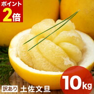 ＼店内全品ポイント2倍／ 訳あり 文旦 10kg 土佐文旦（ 露地文旦 ） 送料無料 サイズ おまかせ ぶんたん …