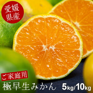 ƒp ɑ ݂ 10kg 5kg 󂠂 Q ~J  t[c ʕ  ݂   k k 󂠂 t[c 󂠂݂ Â ƒp 󂠂 Hi e Q݂ 