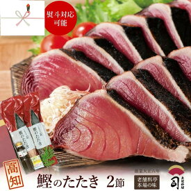 鰹のたたき 2節 550g 4〜5人前 一本釣り 炭火焼 かつおのたたき 高知 ゆずポン酢・薬味付 冷凍 送料無料 海鮮 お取り寄せグルメ 晩酌 おつまみ 帰省土産 ひろめ市場 土佐料理司