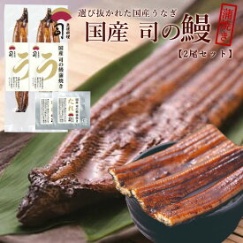 ギフト うなぎ 国産 蒲焼き 2尾セット たれ付 国産うなぎ蒲焼 うなぎの蒲焼き 国産うなぎ 国産うなぎ蒲焼き 国産鰻 鹿児島県産 贈答用 かば焼き 鰻蒲焼 冷凍うなぎ 鰻蒲焼き うなぎ蒲焼き国産 ギフトセット 贈り物