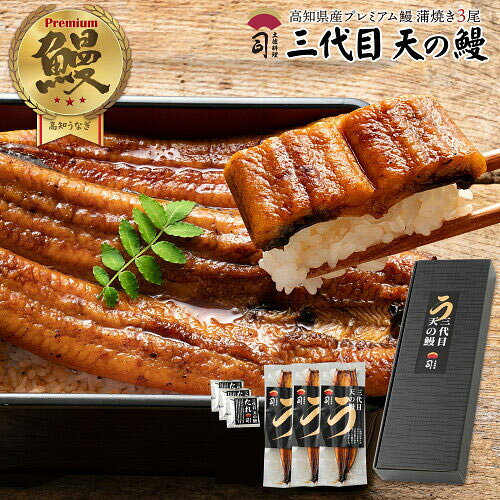 国産 うなぎ 三代目 天の鰻 蒲焼き 3尾 セット 高知県産 ウナギ 国産鰻 うなぎ蒲焼 贈答用 国産 うなぎの蒲焼き...