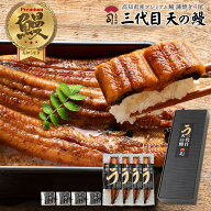 うなぎ ギフト 三代目 天の鰻高知県産【蒲焼き】4尾セット うなぎの蒲焼き 贈答用 国産 鰻 高知県産うな…