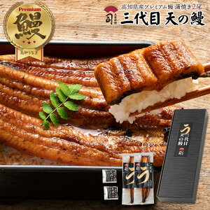 国産 うなぎ ギフト 高知県産 三代目 天の鰻 蒲焼き 2尾セット うなぎ蒲焼 贈答用 なぎ蒲焼き 鰻蒲焼き 国産うなぎ 国産鰻 鰻蒲焼 うなぎの蒲焼 ギフト セット 贈り物 お返し お取り寄せグ