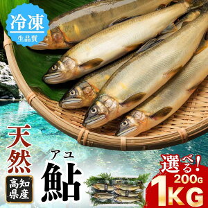 �y�Ⓚ �V�R���z�� �Ⓚ 1kg ���m���Y �m���� �V�R ���� �A�� �I�ׂ�T�C�Y �Y�n���� ���� �m���u���[ �N�x���Q �}���Ⓚ ���Ă� �ØI�� ���� ������ ���� �M�t�g ���蕨 ���Ε� ���N�� ���l ��
