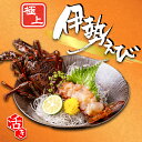 【お一人様2箱まで】 \\ 極上 - 活き - 伊勢海老 // 1~3尾入 約300~1800g 伊勢エビ イセエビ 生きたまま 活 生 お取り…