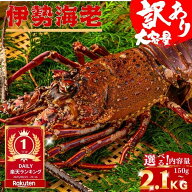 【訳ありでも味は極上】＼ 数量限定！無くなり次第終了 ／ 高知産 訳あり 伊勢海老 いせえび イセエビ 産…