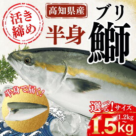 【高知県産活〆ブリ】 高知直送 半身 半カマ付 フィーレ 寒ブリ 生ブリ 1.2kg～1.5kg台 サイズ選べる 活け締め 刺身用 ぶり 魚 海鮮 ギフト 贈答用 お祝い 送料無料 土佐黒潮水産