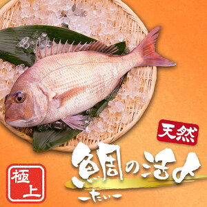 �y����l�l2���܂Łz�V�R ��̊����Y 1�C �ۂ��Ɓq1kg�O��r�� �^�C ���� �h�g �V�R ���Ă� ���H������ ��� �j�� �N���X�}�X ���Ε� �N�z�� �N�� �M�t�g �O�����M�t�g ������ ���蕨 ���N