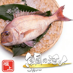 �y���������z��̊����Y 1�C �ۂ��Ɓq1kg�O��r