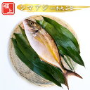 【送料無料】シマアジ 一本 丸ごと〈1.1kg前後〉