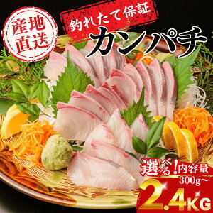 yނ肽ĕۏ؁zJp` TCYI\  Jp` Ԕ  Mtg v[g Ԃ i  O ɏ Yn ^pbN ① Ⓚ lꂽ hg hg h