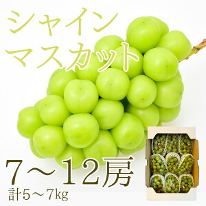 y/݌ɏ/ll2܂Łz I VC}XJbg  5`7kgF7`12[) // ʕ t[c e N fU[g j ̓ ꂳ ̓  Ε ~ hV