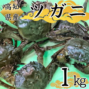 yll2܂Łz_-  - cKj 1kg ^ NYKj CI I  { m y  hg ""j ̓ ꂳ ̓  Ε ~ hV̓ N Mtg 蕨