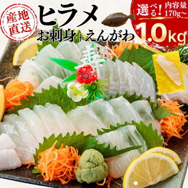 【釣れたて保証】＼送料無料／高知産 ヒラメ 刺身 柵 サク 希少なえんがわ付 170g〜1kg 内容量選べる 産地直送 高級 鮮魚 生 チルド ひらめ 平目 刺身用 海鮮 お取り寄せ ギフト 贈り物 お中元 お歳暮 御礼 誕生日 父の日 母の日 敬老の日 贅沢 魚介 熨斗 土佐黒潮水産