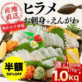 ★半額★楽天スーパーセール！ 【釣れたて保証ヒラメの刺身】＼送料無料／高知産 天然 ヒラメ 刺身 柵 サク 希少なえんがわ付 170g〜1kg 内容量選べる 産地直送 高級 鮮魚 生 チルド ひらめ 平目 刺身用 海鮮 お取り寄せ ギフト 父の日 母の日 敬老の日 土佐黒潮水産