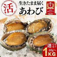 【活きたまま直送】＼肝まで刺身で食べられる／ 高知・土佐湾産 活あわび 活き アワビ 鮑 1kg 選べる黄金…