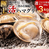 【活きたまま直送ハマグリ】産地直送 国産 ハマグリ 1kg 特大 300g 600g 900g 1キロ 活はまぐり 殻付き …