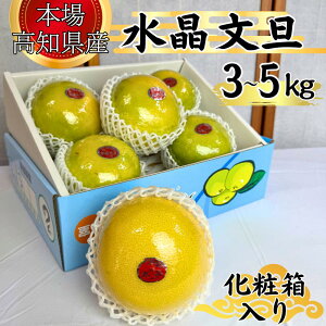 yŌ̒ǉ/݌ɏ/ll2܂Łz  I U 3`5kg ϔ // y m U Ԃ񂽂 u^ e N r^~ C @j ̓ ꂳ ̓  