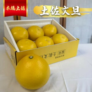 �y���m�����I�y�����U�z�T�C�Y�I�ׂ�I 3kg�`5kg ���ϔ����� ���m���y���s�Y ���I �M�t�g ���蕨 �Ԃ񂽂� �u���^�� �t���[�c �ʕ� ������ ���Ε� ��̓� ���ꂳ�� ���̓� �h�V�̓� ���j�� ��