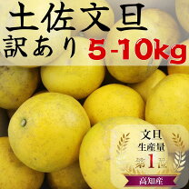 楽天市場】訳あり 文旦の通販