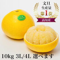 楽天市場】土佐文旦 10kg 送料無料 3l～の通販