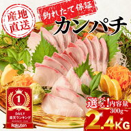 【釣りたて保証】カンパチ お刺身用　サイズ選択可能 送料無料 カンパチ 間八 勘八 ギフト プレゼント お…