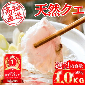 【本場の天然クエ】 ＼身とアラの黄金比率／ 天然クエ鍋セット 選べる2サイズ 高知産 産地直送 クエ くえ 九絵 鍋 セット ギフト プレゼント お歳暮 お中元 敬老の日 父の日 お祝い 送料無料 海鮮 グルメ 贈り物 土佐黒潮水産