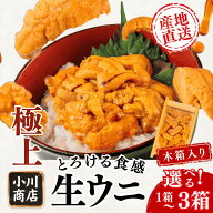 【最高級 生うに】 60g 木箱入り 小川商店 (選べる1箱～3箱) 産地直送 雲丹 ウニ うに丼 寿司 刺身 冷蔵…
