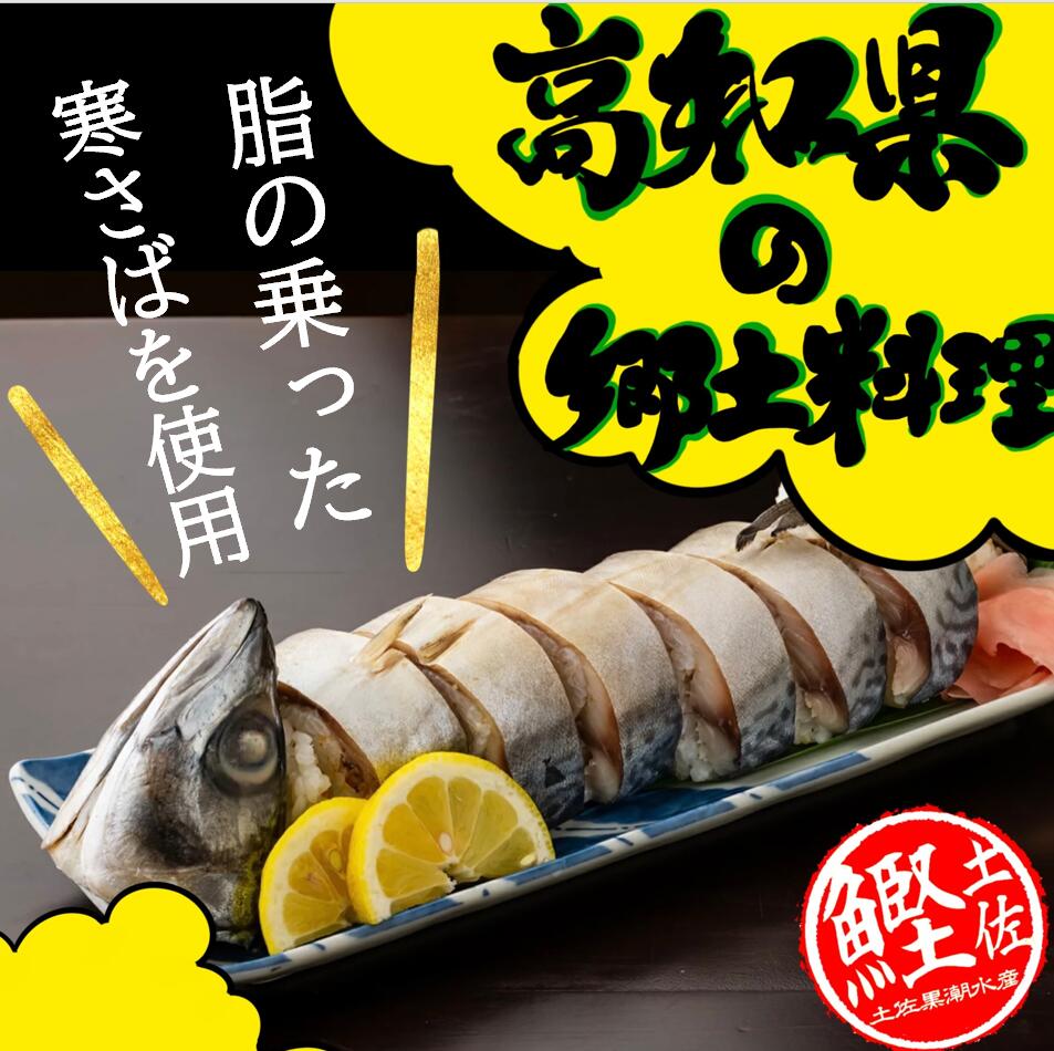 高知 姿さば寿司 ２～３人前 サバ寿司 鯖寿司 さば 鯖 日本メーカー新品 超人気 サバ さば寿司 焼きさば寿司 郷土料理