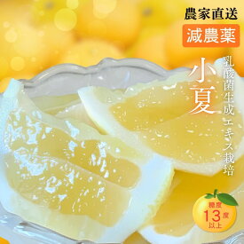 【減農薬】【乳酸菌生成エキスで糖度13度以上】高知 小夏 土佐小夏 3.5kg 5Kg 10kg S〜2Lサイズミックス 訳あり 高知県産 日向夏 ニューサマーオレンジ 送料無料 高糖度 露地栽培 高知県 木成り 完熟 樹上完熟 お取り寄せ 母の日 父の日 ギフト プレゼント 簡易のし対応