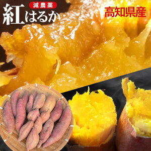 �y���\����ʉ��i�b1�����{�����z���m���Y �g�͂邩 ���_�� �����x �n�� 5Kg 10kg �󂠂� �I�ׂ�T�C�Y ���� �Y�n���� �Ă��� ���܂��� ���܈� �ׂɂ͂邩 �T�c�}�C�� ���� ���� 5�L�� 10�L