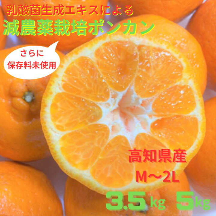 楽天市場】【糖度14度以上】ぽんかん ポンカン 訳あり 3.5kg 5kg 高 