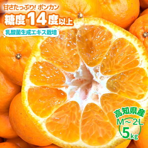 y\ 1{菇zyx14xȏzmY |J _ ۑsgp ۂ񂩂 󂠂 3.5kg 5kg x ݂ k m m y Â W[V[ n M`2LTCY 