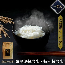 【令和8年産新米 減農薬米（予約）】 高知県産 コシヒカリ 一等米 単一原料米 特別栽培米 定期便対応 5kg 10kg 白米 玄米 送料無料