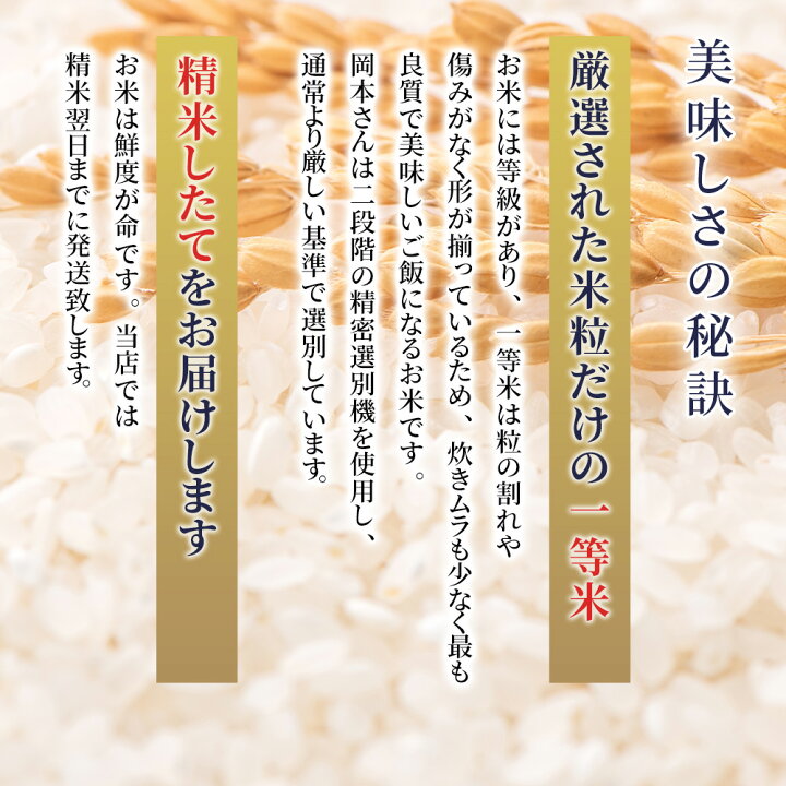 千葉県産 令和5年コシヒカリ20kg玄米 減農薬栽培