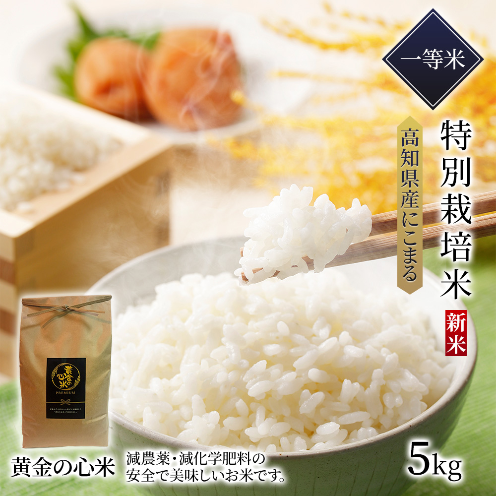 期間限定60％OFF! 令和4年新米 京都玄米 農薬不使用 有機肥料 ヒノヒカリ 10キロ