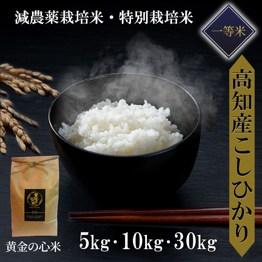 農家直送の美味しいお米 令和5年度産 ヒノヒカリ 10キロ