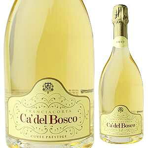 yz3000ml t`R^ LF vXe[W GfBcBI[l 43 NV J f {XR Xp[NO C C^A