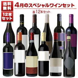 【送料無料】1本あたり1155円！4月のスペシャルワインセット赤12本 赤 イタリアワイン (750ml×12) 福袋 同梱不可