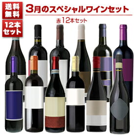 【送料無料】1本あたり1155円！3月のスペシャルワインセット赤12本 赤 イタリアワイン (750ml×12) 福袋 同梱不可