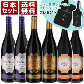 【送料無料】裏アマローネ カナヤ 3兄弟ワイン ゴールド カナヤ ジャイロ 6本セット 赤 イタリアワイン ヴェネト (750ml×6)